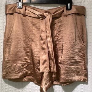 LIKE NEW Banana Republic Gold Satin Shorts